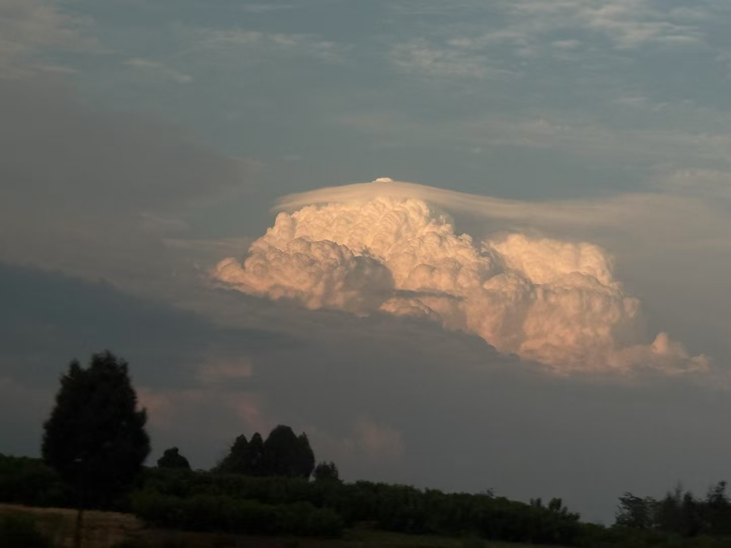 请输入图片描述